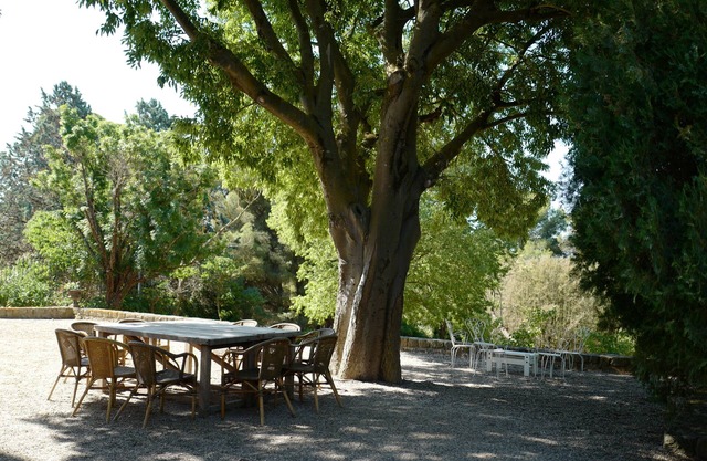 Large house in the middle of a park, very friendly, private pool, beach 5 minutes away.