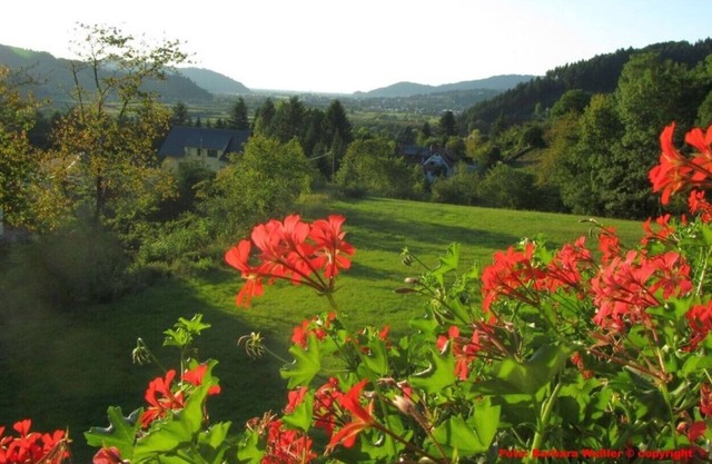 Large holiday rental in a restored traditional Black Forest farmhouse of 1839