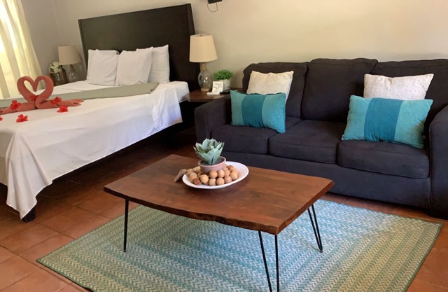 Large suite with King bed. A kitchen area with sofa bed.