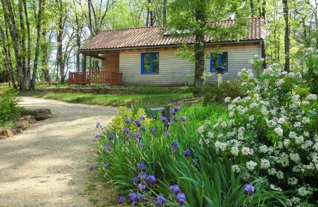 Large wooden chalet in the middle of the forest a stone's throw from Sarlat and Lascaux