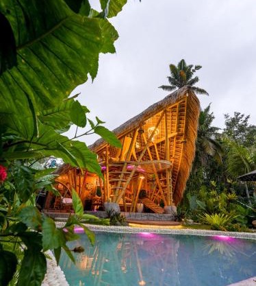 Lazy Coconut Bali