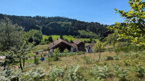 Le Chalet Vosges Montagne