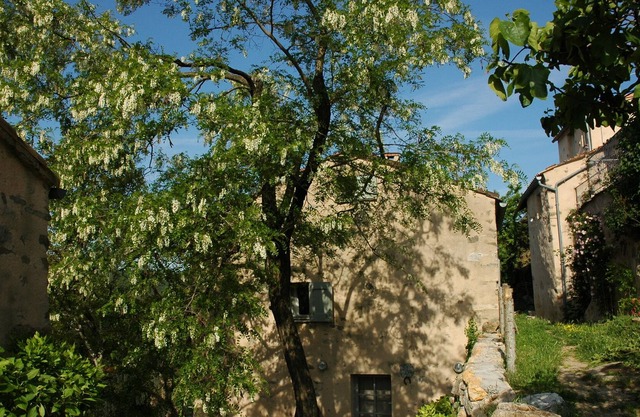 Le Pailler de Malric - Hamlet of Cauduro (2 bedrooms - 4/5 people)