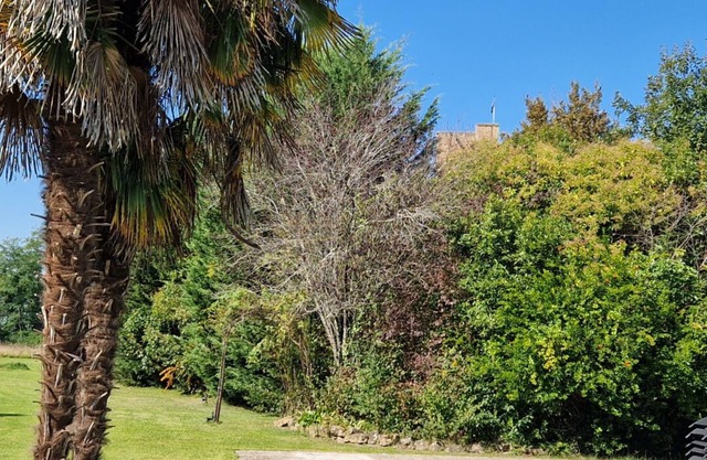 Le Relais De La Tour