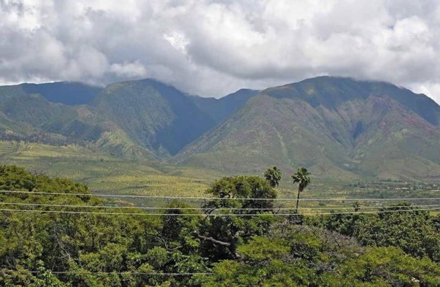 Legal STR Hotel Zoned Lahaina Shores Serene Oceanfront Escape with Mountain View