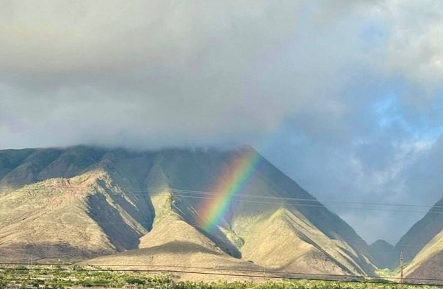 Legal STR Hotel Zoned Majestic Maui Mountain Lahaina Shores Oceanfront Escape