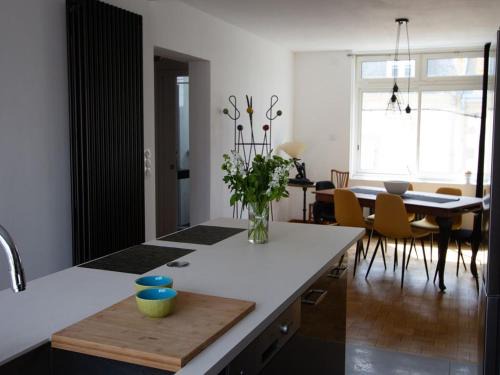 Les Aigrettes - Appartement spacieux - Terrasse et garage