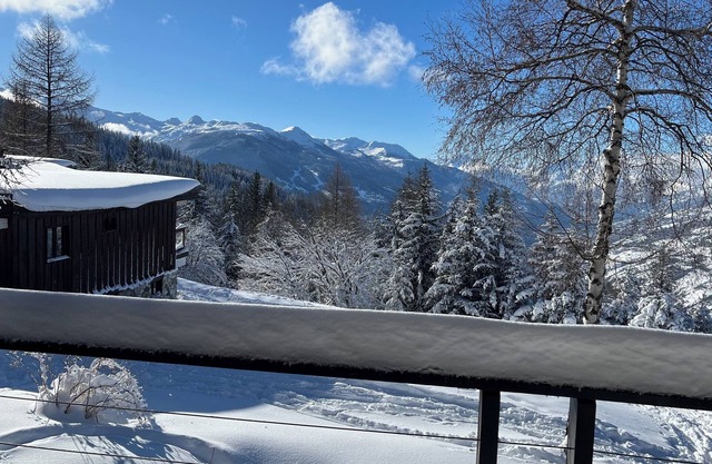Les Arcs Ski Chalet