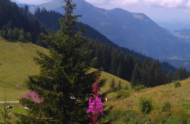 LES TERRASSES du MONT BLANC - 2 rooms - 6 sleepings