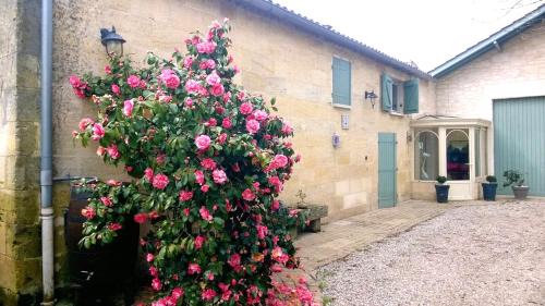 Les Vignes