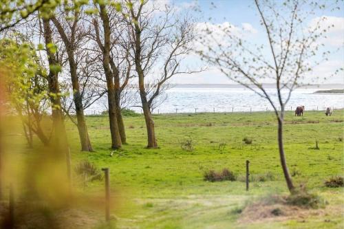 LF13172-Nykobing-M-Strandvaenget-76