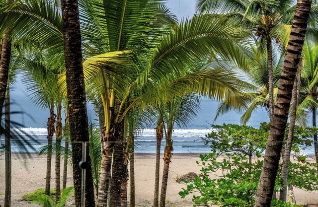 Lia Hotel Jaco