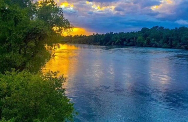 Lily`s River Retreat Anderson