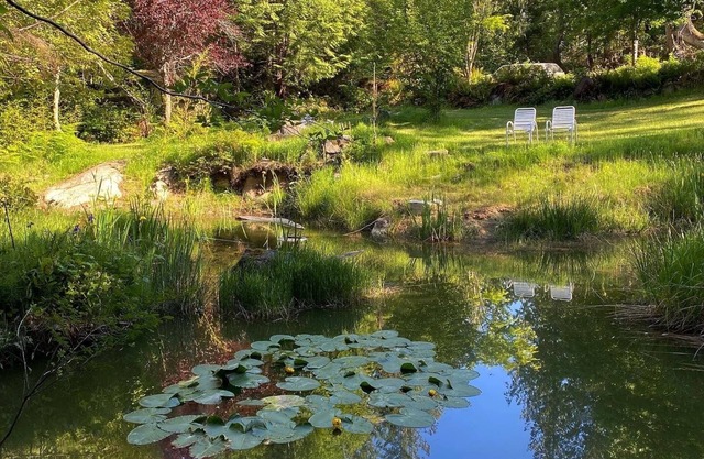 Little Cabin in Middlepoint, nNestled amongst cedars on a private quiet acreage.