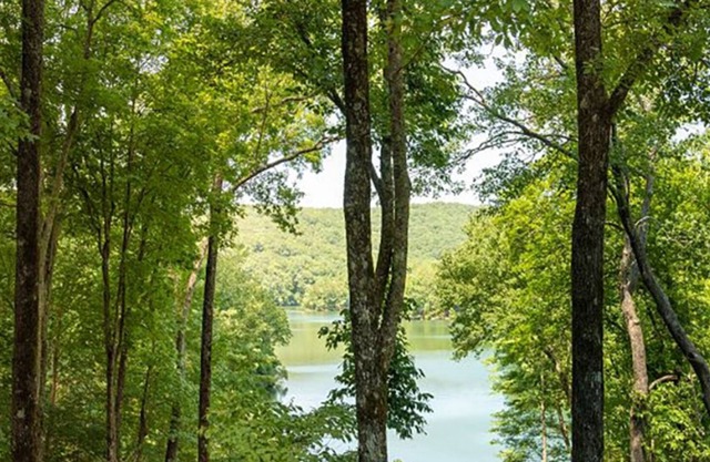 Little Deer Lodge|Charming|Stunning Mllion $ View|