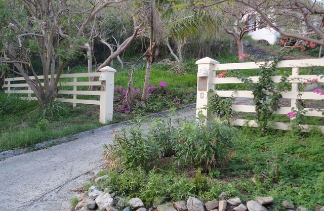 Little Mermaid - quaint, spacious one bedroom rental on Beef Island, BVI.