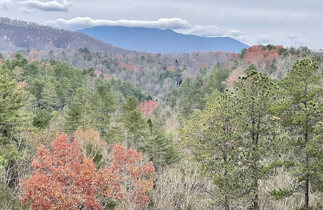 Little Smoky Dream (2 Bedroom, new small appliances, new hot tub and much more!)