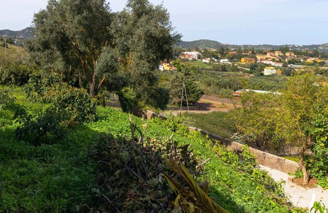 LIVE FINCA GAMONAL BJ