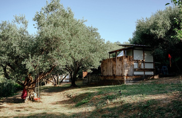 Ljubac Glamping Bell Tent Robinson