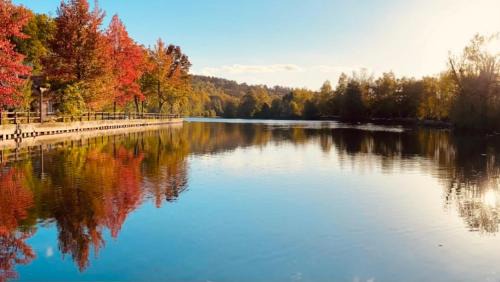 Lodge pleine nature