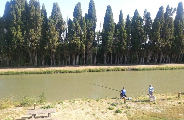 Lodging in an old wine cellar along the Canal du Midi