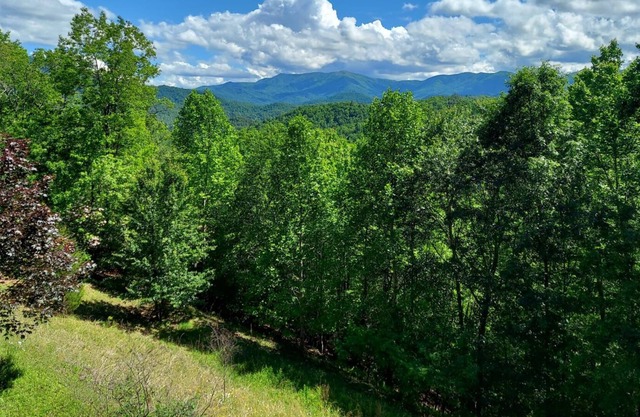 Log Cabin Beauty with Stunning Smoky Mountain Views