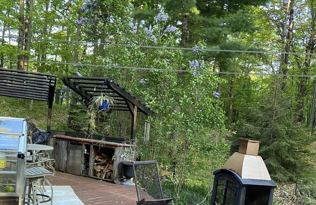 Log Cabin Getaway for Nature Lovers. An escape from the city with animal friends