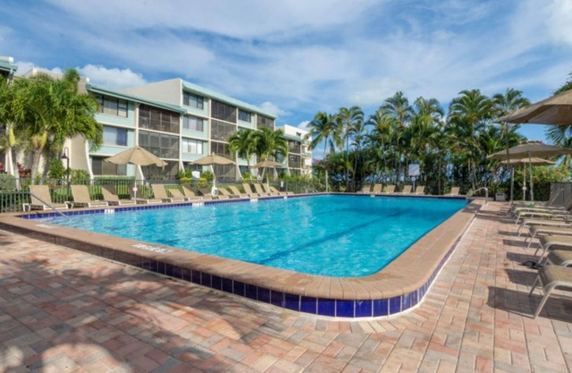Loggerhead 133