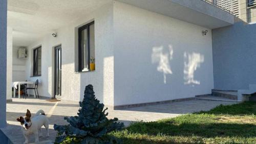 Lola seaview guest house. Уютный Домик в Варне