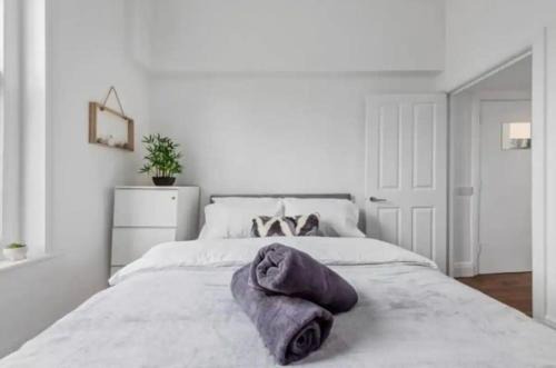 London - 2 Bedroom Flat near Clapham Junction CJ