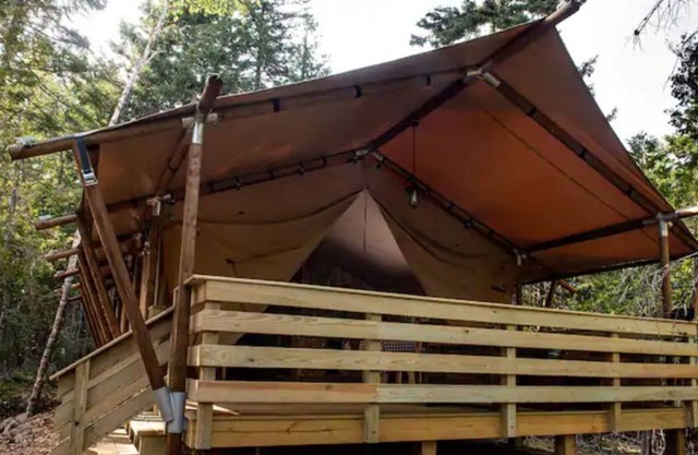 Loon Tent, Woods of Eden Glampground, Acadia.