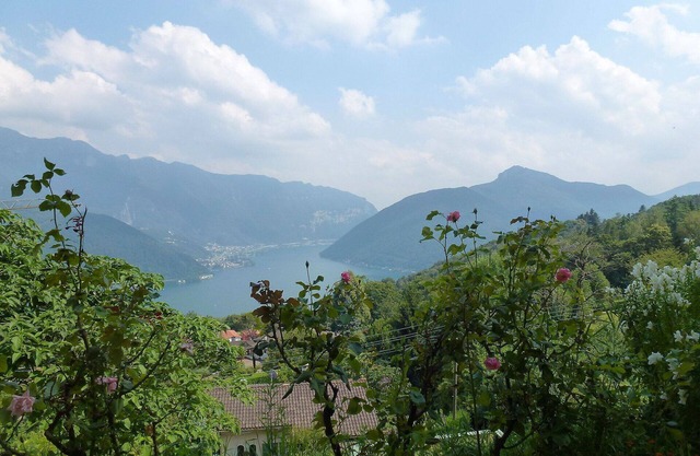 Lovely apartment for 3 people with WIFI, TV, patio, pets allowed and panoramic view