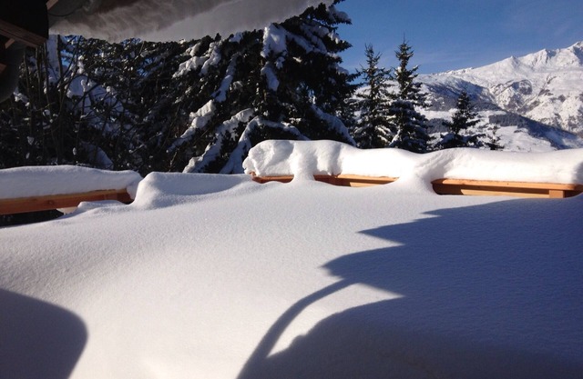 Lovely chalet in the forest- Les Arcs 1600
