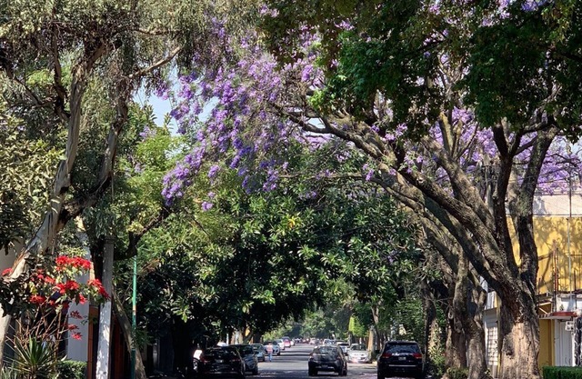 Lovely Duplex In XVI Century Coyoacan