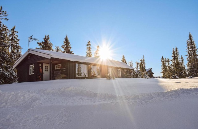 Lovely Home In Sjusjøen With Kitchen