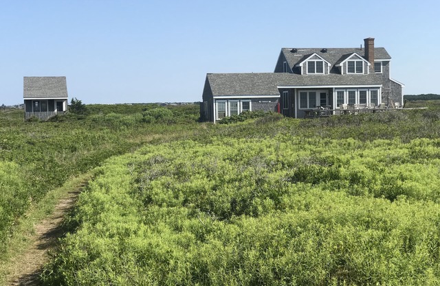 Lovely Oceanfront Cottage Plus 1BR Cabin on Beautiful, Pristine Beach