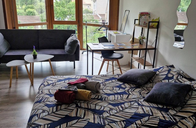 Lovely studio 15min walk from Epinal town center