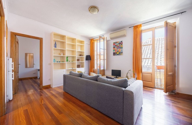 Luminous Apartment near Plaza mayor and Sol