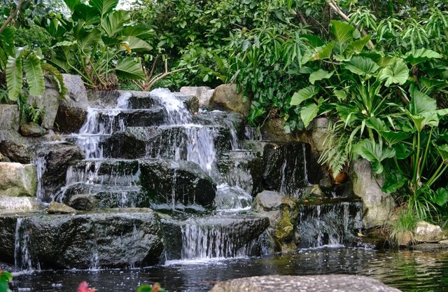 Lush Inn Phuket