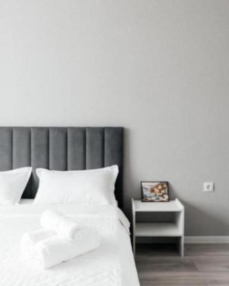 Luxurious apartments in the center of Almaty city