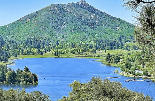 Luxurious TREE HOUSE: SPA, LAKE & MOUNTAIN VIEW,1-Acre, Observatory