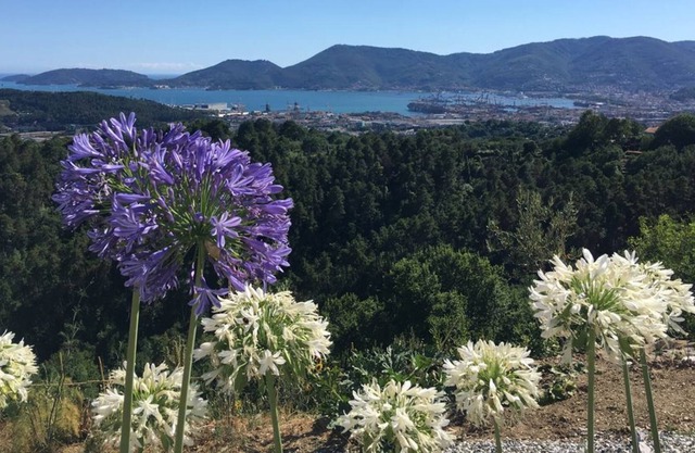 Luxury apartment with sea view near the Cinque Terre "Slow Tourism"