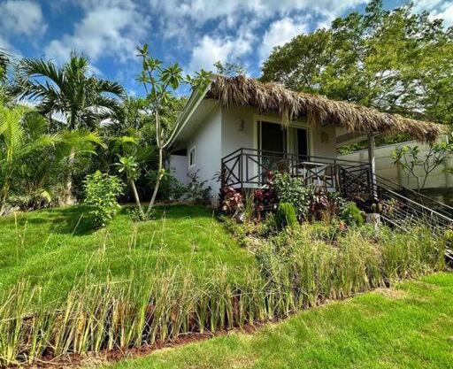 Luxury Home - Playa Tamarindo - Infinity Pool