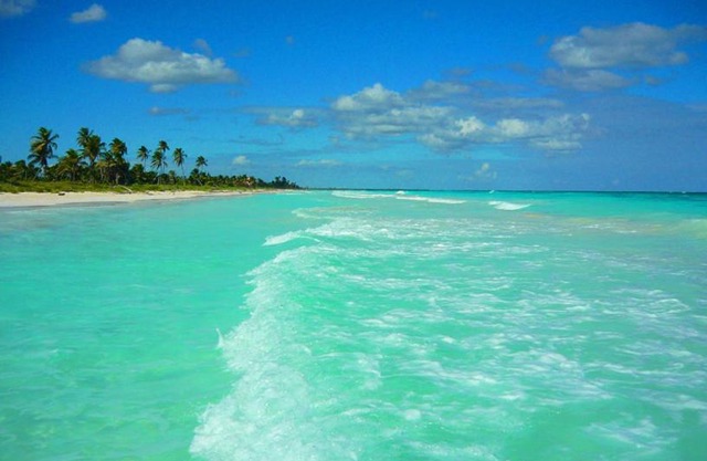 Luxury Modern Bahia Principe Condo