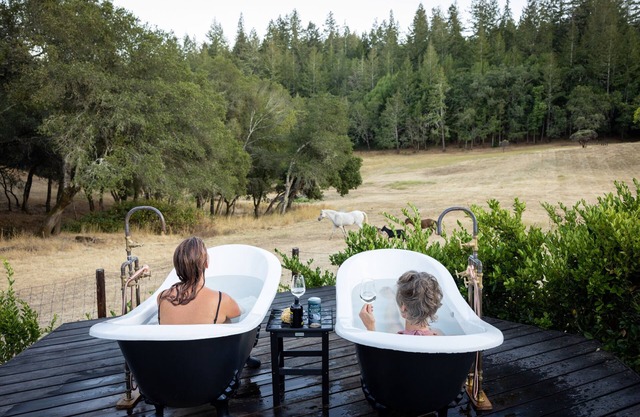 Luxury Organic Ranch Fabulous for Groups with Farm