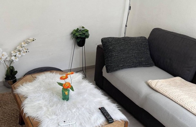 Luxury Private Apartment for Rent in the Heart of Antwerp ★