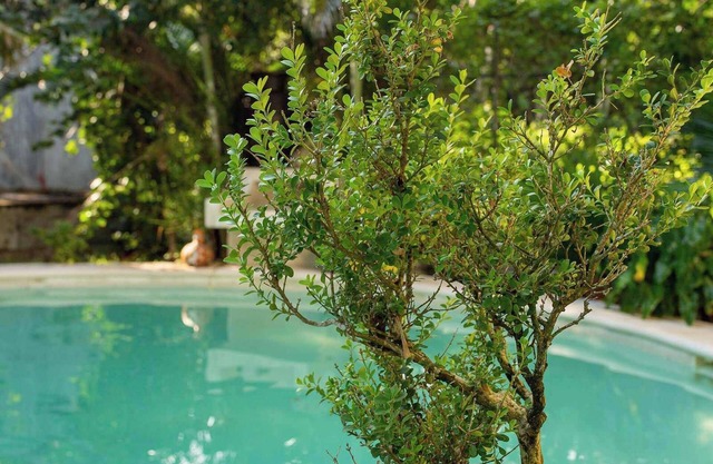 Luxury Villa in Cozumel with Pool