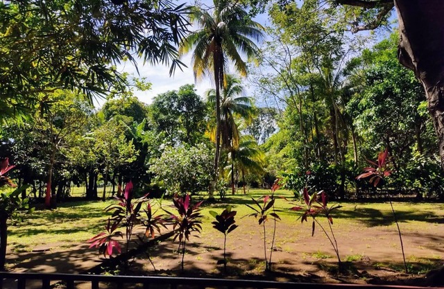 Madinina's haven. nAC, opt.fiber and amazing surroundings