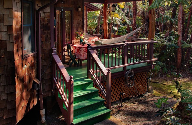 MAGICAL & COZY GEM! BIRDS, HUGE FERNS ABOUND IN NATIVE RAINFOREST. SO QUIET.