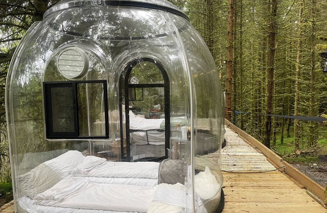 Magical Forest Dome Getaway